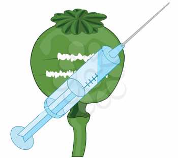 Vector illustration of the head opium poppy and syringe