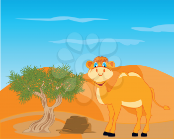 Animal camel and tree saxaul on background sun dune