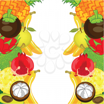 Vector illustration of the bright decorative background from exotic fruit