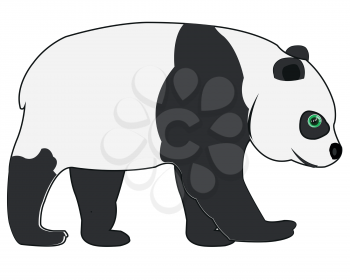Vector illustration chinese panda bear type from the side