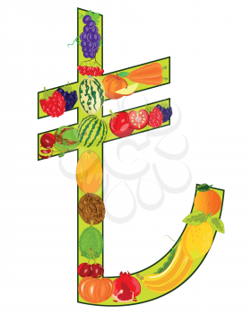 Vector illustration of the decorative money sign lira from fruit and vegetables