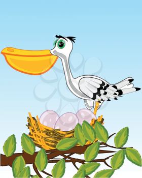 Vector illustration of the branch tree with jack and birds of the pelican