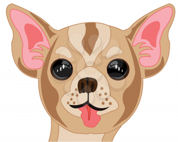 Vector illustration of the portrait of the dog of the small sort chihuahua
