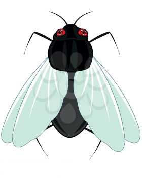 Vector illustration of the cartoon bad insect fly