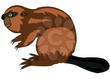 Vector illustration animal rodent beaver type from the side