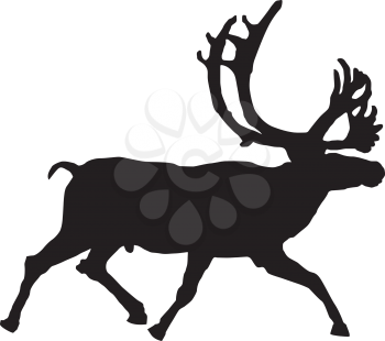Royalty Free Clipart Image of a Buck on a White Background