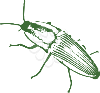 Royalty Free Clipart Image of a Beetle Bug