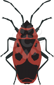 Royalty Free Clipart Image of a Beetle