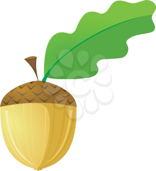 Royalty Free Clipart Image of an Acorn With a Green Leafy Stem