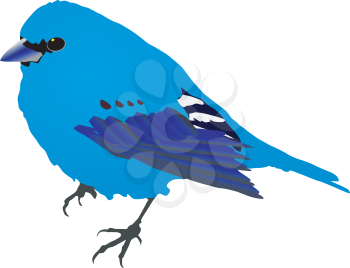 Royalty Free Clipart Image of a Blue Bird on a White Background