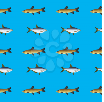 Royalty Free Photo of a Fish Background