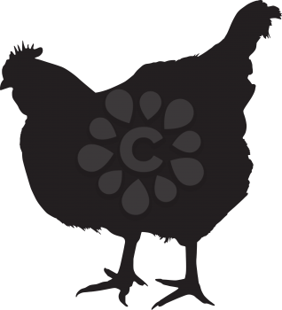 Silhouette of a chicken