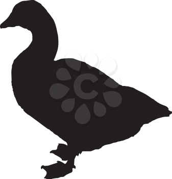 Silhouette of a goose