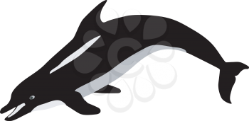 vector dolphin 