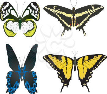 Collection of vector images of beautiful butterflies