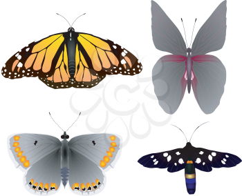 Collection of vector images of beautiful butterflie