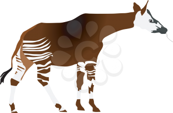 vectors okapi