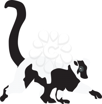 Vector illustration of lemur