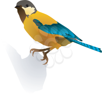 vector image of  bird
