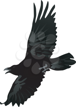 Vector drawing a flying crow