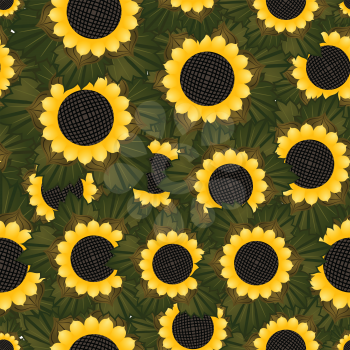Seamless texture with sunflowers and green leaves