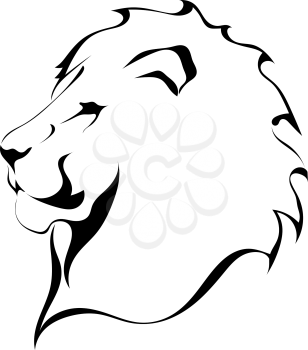 Lion head on a white background. Tattoo