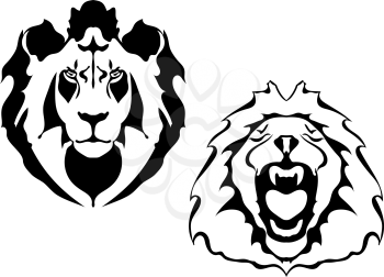 Lion heads on a white background. 