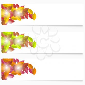Set of three autumn flyers. Green and yellow autumn foliage. Vector illustration.