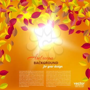 Autumn falling leaves on an orange background with the sun. Vector illustration.