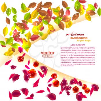 Seasonal background with autumn leaves and summer flower petals. Vector illustration.