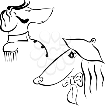 The couple breed dogs Greyhound. He and she. Hussars and the lady. Vector illustration.