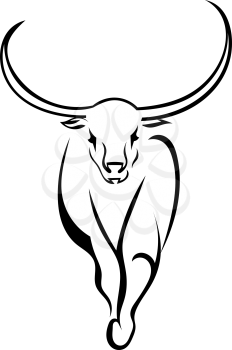 Frontal bull walking isolated on white background. Vector illustration.
