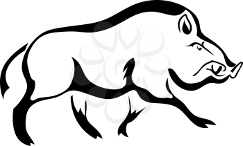 Black silhouette  boar on white background. Isolate. Vector illustration
