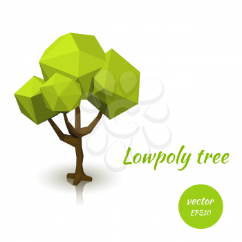 Green tree in low poly style. Vector illustration