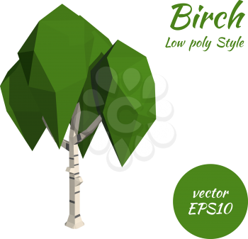 Birch in low poly style. Vector illustration