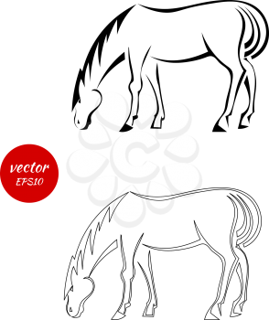 A set of silhouettes of horse that grazes isolated on white background. Vector illustration.