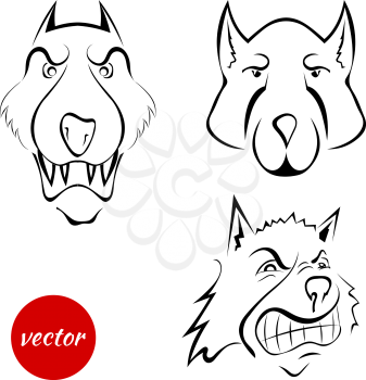 Set the dog's muzzle, wolf isolated on white background. Cartoon. Beware the evil dog! Vector illustration.