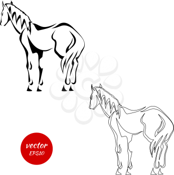 A set of silhouettes of horse from the back isolated on white background. Vector illustration.