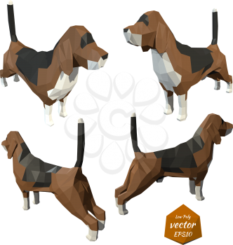 Set the dogs on a white background. Low poly style. Vector illustration.