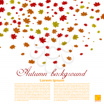Autumn background. Illustration of falling red, yellow and green maple leaves. Image season. 
Maple leaves on a white background. design element, wallpaper. Autumn weather. Stock 
vector illustration