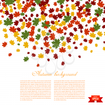 Autumn background. Illustration of falling red, yellow and green maple leaves. Image season. 
Maple leaves on a white background. Autumn weather. Stock vector illustration
