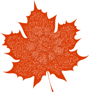 Maple Leaf with grange texture on a white background. Autumn red maple leaf, a symbol of autumn. Element of nature, flora. Stock vector illustration