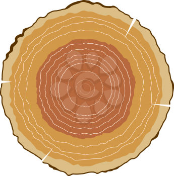 Vector illustration of round cut wood with growth rings. The cut logs on a white background. Isolated object. Tree rings, nature.