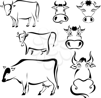 Set of black graphic images of cows on a white background. Abstract drawings of milk cows cartoon style. Vector illustration
