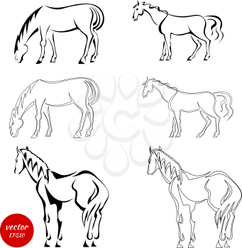 Set of black abstract horses on a white background. An image of horses in various poses. 
Vector illustration
