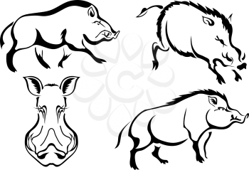 Set of black vector images of wild boars. Abstract drawings of wild boars in different poses. Vector illustration