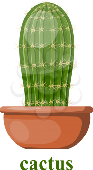 Vector illustration of a cactus in a clay pot on a white background.