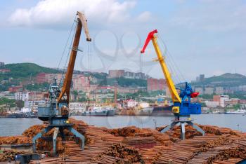 Seaport cranes loading a wood to vagon