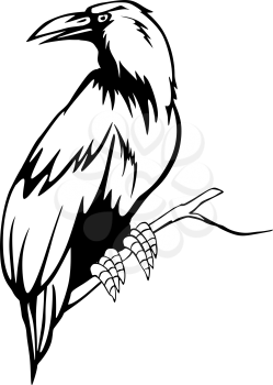 Black raven on the branch. Vector illustration