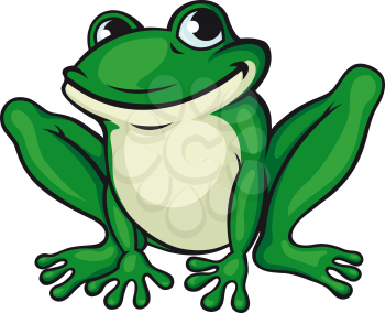 Big green frog isolated on white. Vector illustration